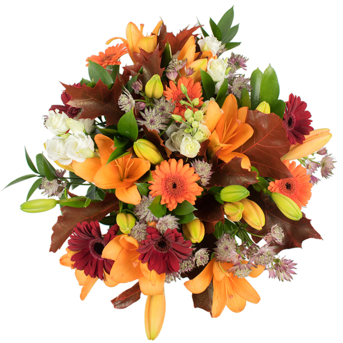A lush, artfully composed autumn bouquet photographed from slightly above on a pure white field, each element described with the care of a florist arranging for a stall on Teddington High Street. The arrangement is dominated by several fully opened orange Asiatic lilies, their trumpet-shaped petals gracefully unfurled and textured with a soft sheen, while numerous tight buds in lime-green and pale orange promise sequential blooming. Bold splashes of orange and deep burgundy Gerbera daisies punctuate the massed flowers, their round, ray-like petals creating lively focal points against the lilies' larger silhouettes. Creamy white lisianthus (or small garden roses) with delicate, ruffled petals bring gentle contrasts and soften the stronger tones, and the airy, spiky clusters of purple-grey Astrantia introduce a delicate, lace-like complexity throughout. Reddish-brown, broad, lobed leaves-carefully chosen to mimic oak or maple fallen from trees near Bushy Park-wrap around the bouquet, their warm, veined surfaces reinforcing the autumn story, while fresh green foliage threads through the centre to provide structure and vitality. The bouquet is compact, dense and exceptionally fresh-looking, bathed in bright studio light that accentuates textures from the lilies' smooth inner throats to the Astrantia's tiny star flowers. Scent-wise it reads as subtle and garden-fresh, a whisper of floral sweetness with an earthy undertone. As a Teddington florist I picture this piece on a mantlepiece in a riverside home by Teddington Lock or as a welcoming Thanksgiving centrepiece; Flowers Teddington often crafts similar seasonal arrangements for local gatherings, reflecting the neighbourhood's love of richly coloured, textured bouquets.